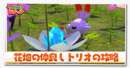 花畑の仲良しトリオ