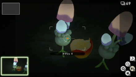 ふわリンゴが食べられてる所を撮影