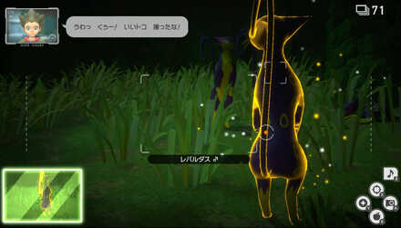 立ち上がった瞬間を撮影する。