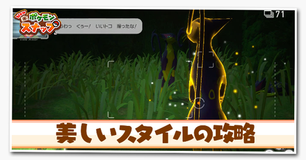 美しいスタイルの攻略