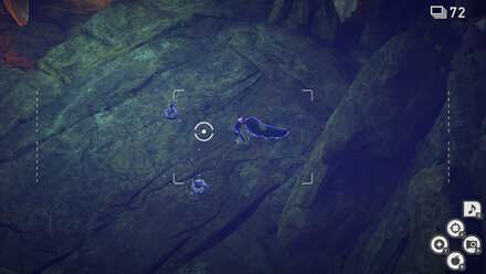 メレシー2体とクチートにイルミナボールを当てる