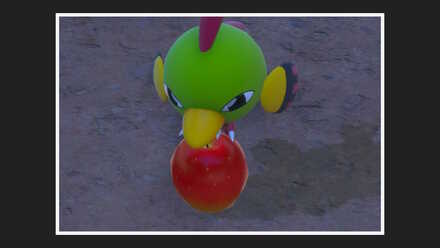 ふわりんごに乗っているネイティを撮影