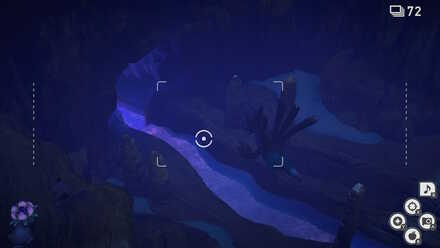 サザンドラのルート