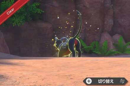 伸びをした瞬間を撮影