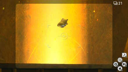 飛び回っているジラーチにイルミナオーブを当てる