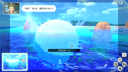 ひっくり返った瞬間を撮影