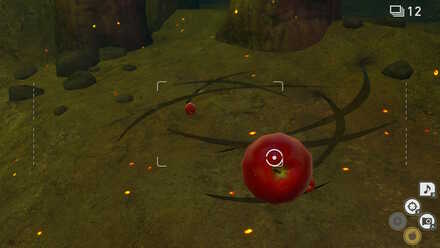 爪痕にふわりんごを投げる