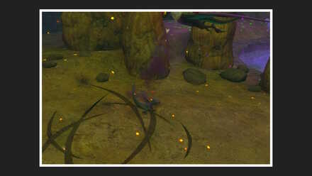 オンバーンに攻撃するヤトウモリを撮影