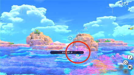 泳ぎ終わったサメハダーにイルミナオーブを当てる