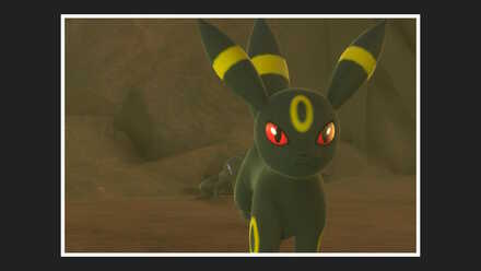 ブラッキーを撮影する