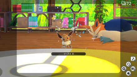 座り込んだイーブイを撮影