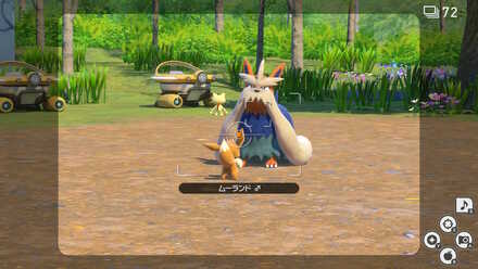 ムーランドとイーブイを近づける