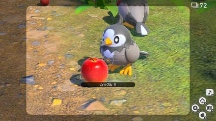 ムックルにふわりんごを食べさせる