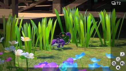 床下から出てきたコラッタを撮影