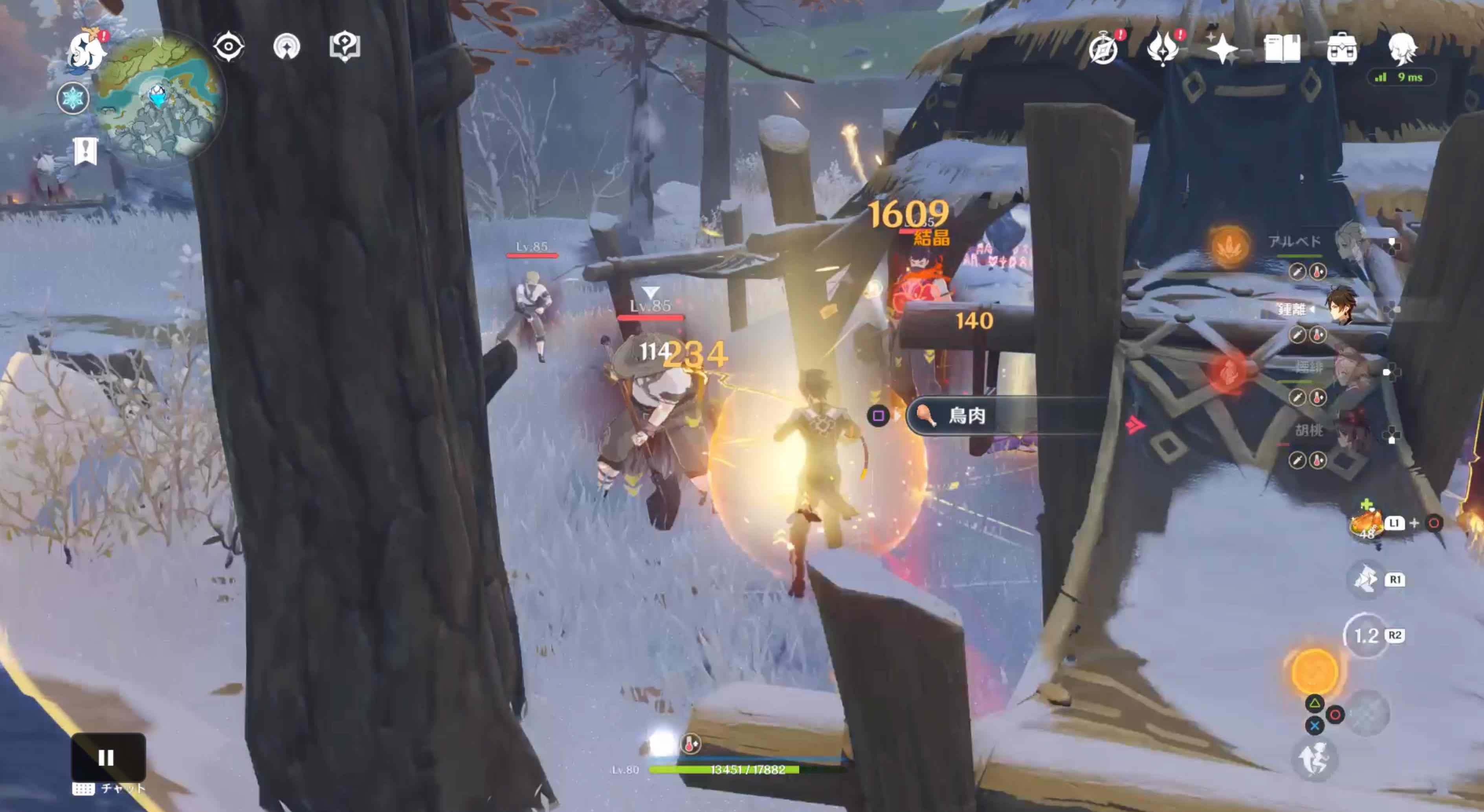 複数の宝盗団を倒す必要あり