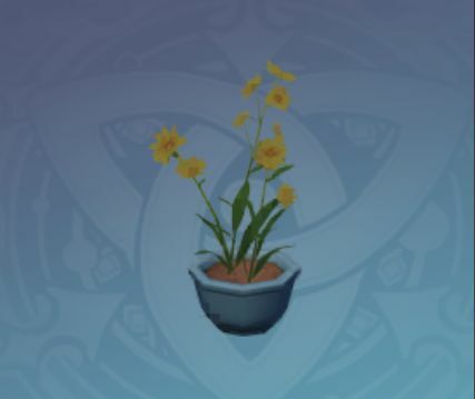 盆栽「甘い偽装」の画像