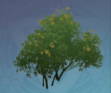 晶蝶の休む枝の画像