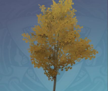 枯れた珍枝の木の画像