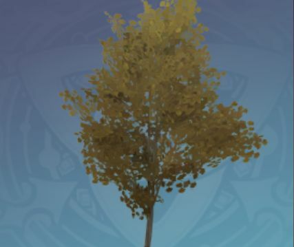 緑葉の珍枝の木の画像