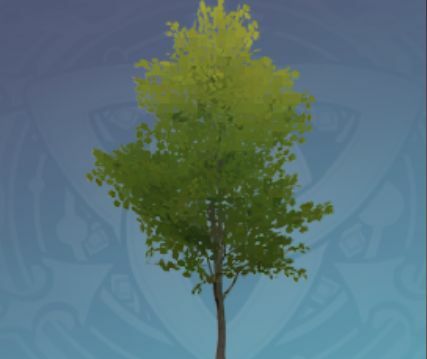 篝火の木の画像