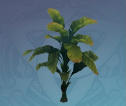 南境の香風葉の画像