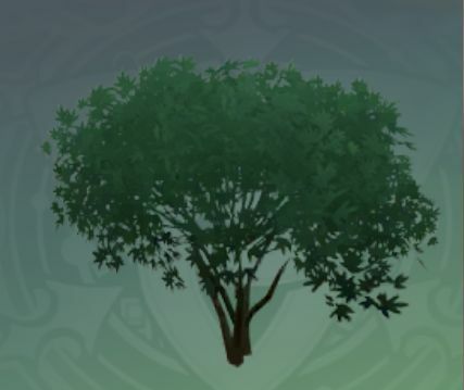 芽緑花錦の画像