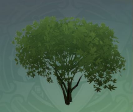 悟枝花錦の画像