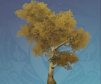 金葉の剣骨の木の画像