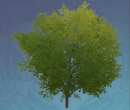 群生櫨青の画像