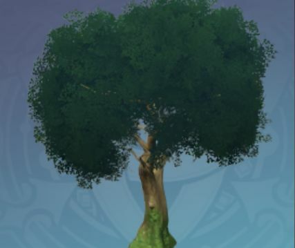 立派な萃華の木の画像