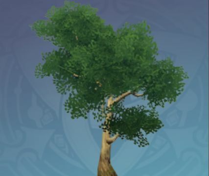 緑葉の剣骨の木の画像