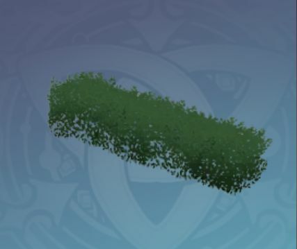 普通の低木の画像