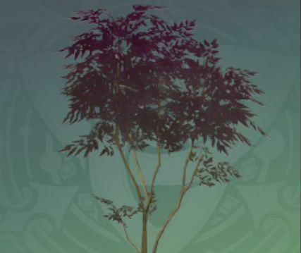 群生蝶緑の画像