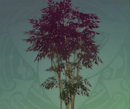 茂生丹朱の画像