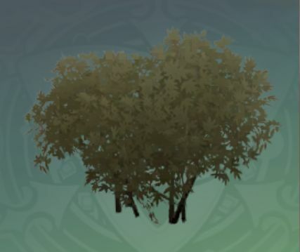 双生素馨の画像