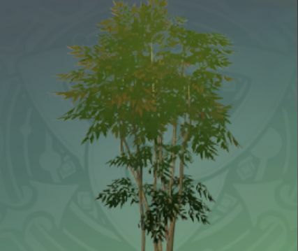 群生丹朱の画像