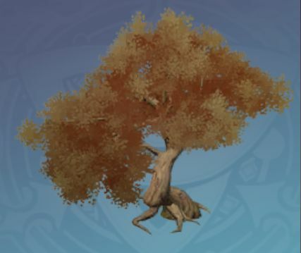 天衝赤楓-「灼赤の葉」の画像