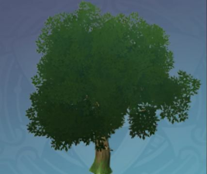 若い萃華の木の画像