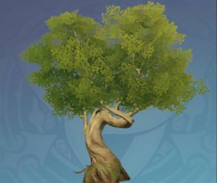 緑葉の盤伏の木の画像