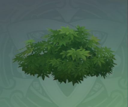 緑の青衫の画像