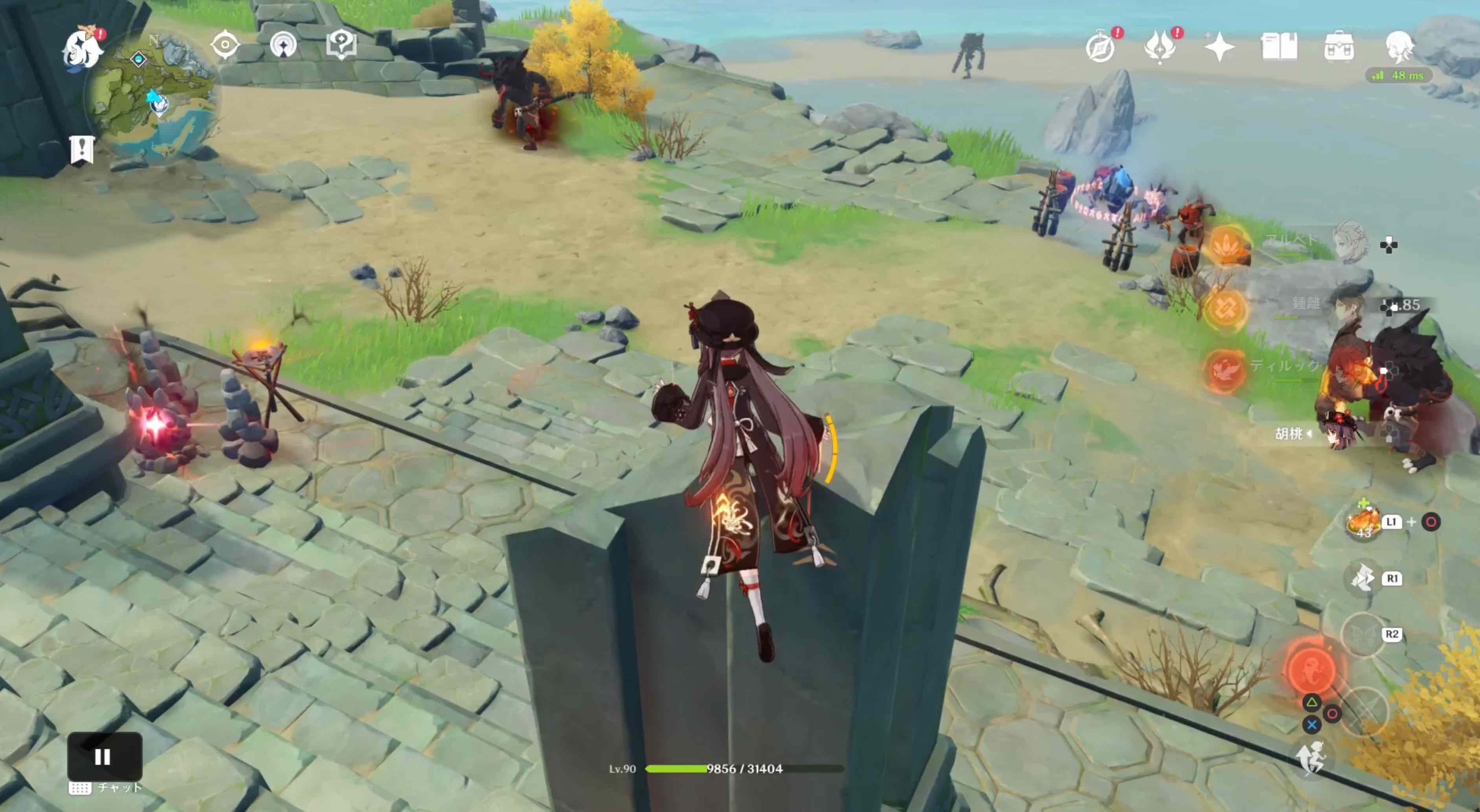 変異の石は柱の側