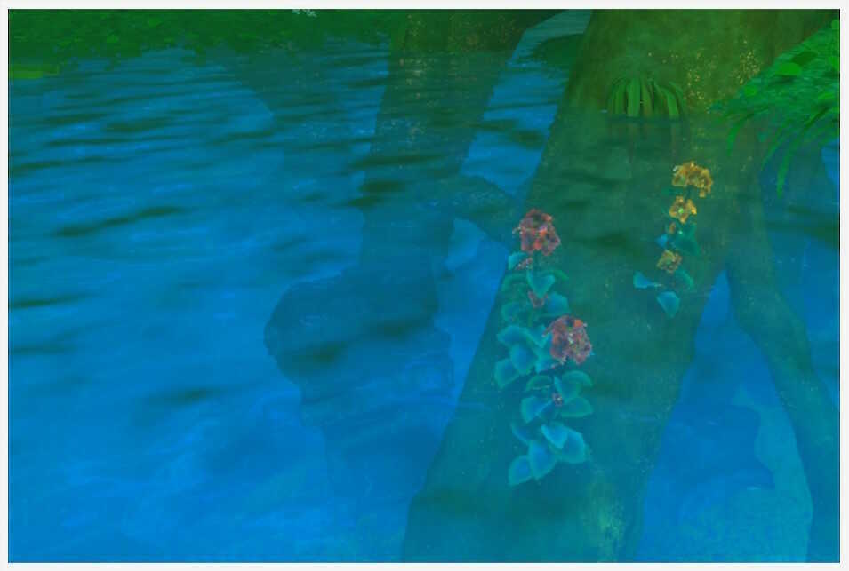 樹海イルミナスポットの古代遺跡