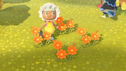 オレンジのコスモスの作り方