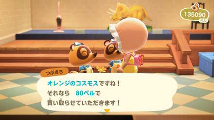 オレンジのコスモスの作り方