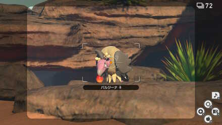 ふわりんごを食べるバルジーナを撮影