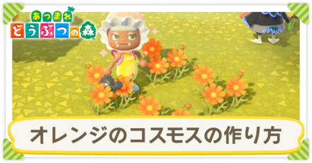オレンジのコスモスの作り方
