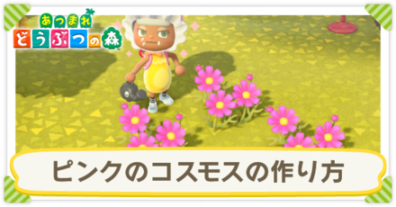 ピンクのコスモスの作り方