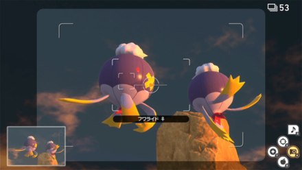 膨らんだフワライドを撮影