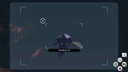 飛び上がった瞬間を撮影