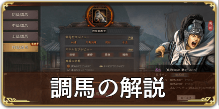 調馬の解説